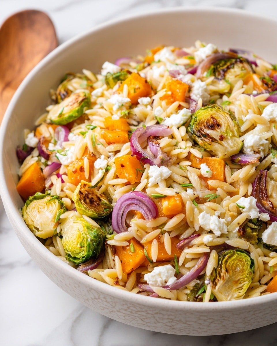 Best Fall Harvest Orzo Salad Recipe - Ingredients Photo — Best Fall Harvest Orzo Salad, fall orzo salad with roasted butternut squash, autumn vegetable pasta salad, seasonal fall salad recipe, easy fall harvest salad